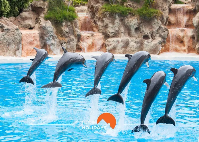 #041 Future House By Holidays